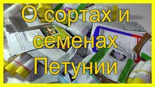 О #сортах и #семенах петунии на 2019 г. Где купить #семена?