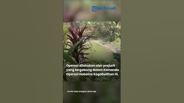Video Pasukan TNI Geruduk Markas OPM di Soanggama, 14 Orang Tewas