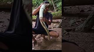 tarikan sidat monster memang sangat kuat