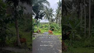 Dijual Tanah Los Sungai 14 dan 7 are di Dukuh sari, Buruan