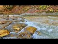 Relaxing sounds of a flowing mountain river without birdsong. 1 hour of video in 4K.