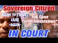 Sovereign Citizen Returns for PreTrial, After being thrown out Last Time - The Finale In Court