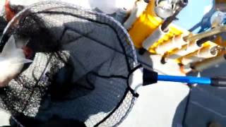 yusei2015050602