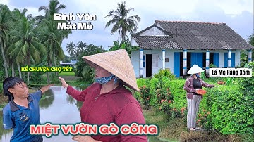 Kể Chuyện Chợ Tết - MÀU XANH RUỘNG ĐỒNG MIỆT GÒ CÔNG XƯA, Bình Yên Mé Đường Với Vườn Cây Xanh Um.