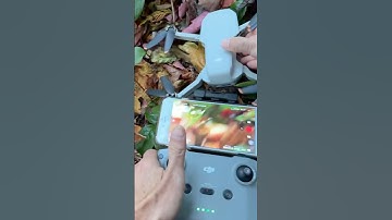 🔥How to Select Max Distance on your drone! DJI Mini 2 🚀#dji #drone