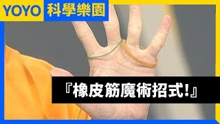 【用橡皮筋變魔術！】YOYO科學樂園｜第1-9季第82集｜香蕉 ...