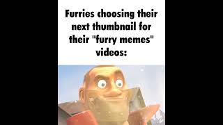 Anti Furry Meme 30