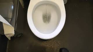 Disabled toilet in the kino Hawkhurst