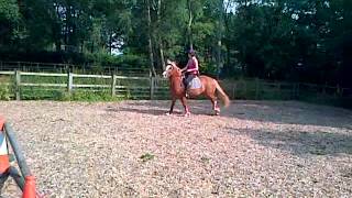 VID-20130722-00011