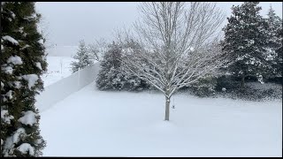 الحياة في امريكا 286-يوم كامل من الثلوج اللي هطلت علي فيرجينيا