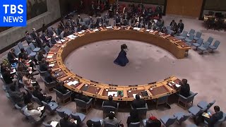 国連安保理 ウクライナ決議 ロシアの拒否権で否決
