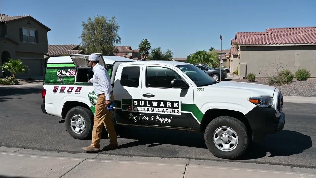 Bulwark Exterminating YouTube