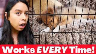 Puppy LOVES Their Crate 🐶: Tips to Make it Work! 👉 by Rachel Fusaro 21,602 views 11 months ago 11 minutes, 35 seconds