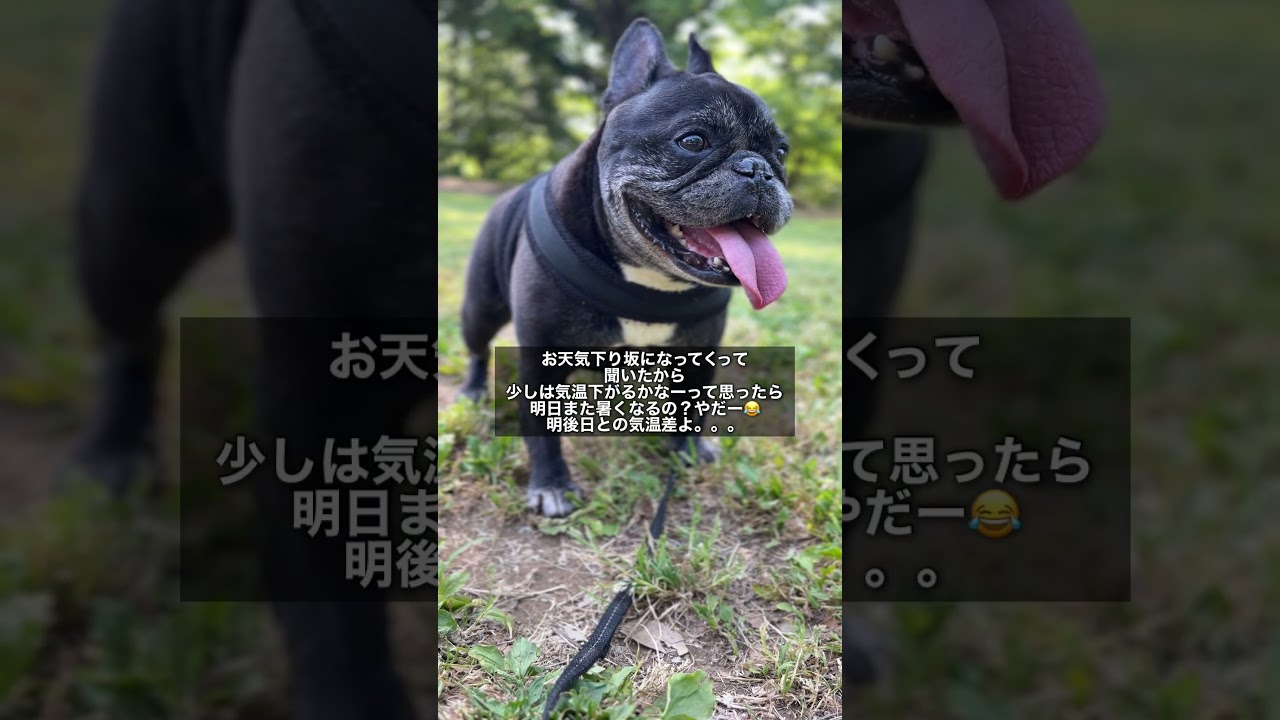 夏はまだ先でいい