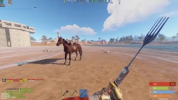 Man on Horse (GONE WRONG)