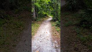 Fort Caroline area trails in Jacksonville FL