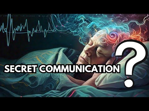 The First-Ever Dream Chat: Welcome to the Future