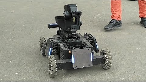 Mecanum Wheel Robot plays with children