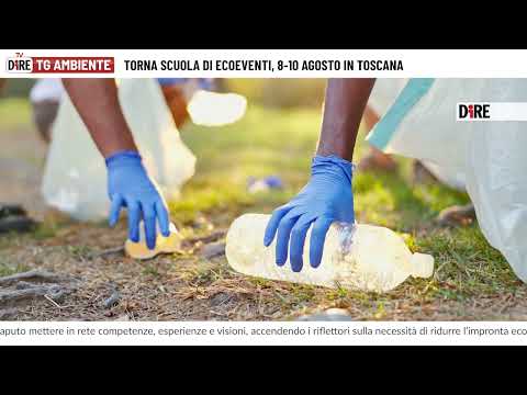 20250624 Tg Ambiente