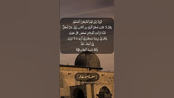 سورة الأنفال الآية ٤٨ بصوت الشيخ محمد صديق المنشاوي