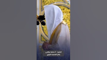 ما تيسر من #سورة_النساء للشيخ #محمد_برهجي من #المسجد_النبوي #رمضان ١٤٤٦ هـ#صدى_القرآن