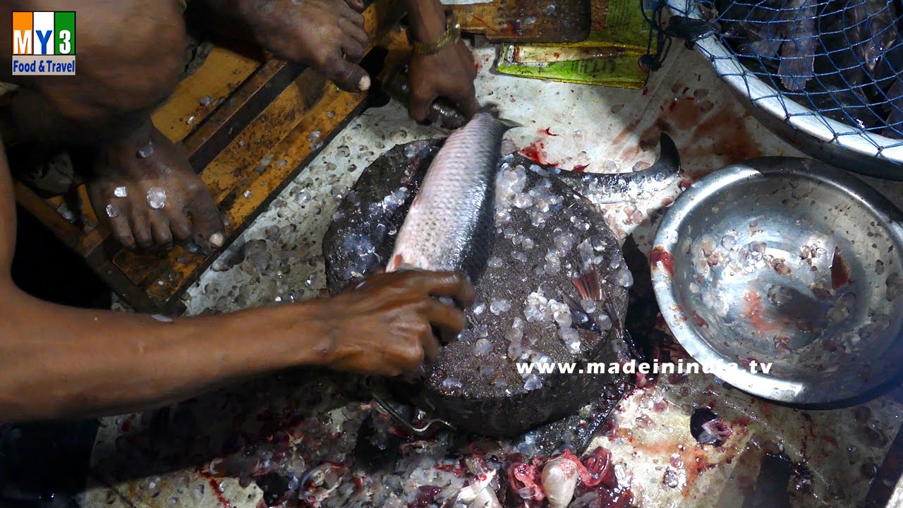 FISH CUTTING AND CLEANING | STREET FOODS IN INDIA street food