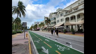 WALKING ON THE OCEAN DRIVE IN MIAMI / AVAGY A VILÁGJÁRÓ BÉKA KALANDJAI