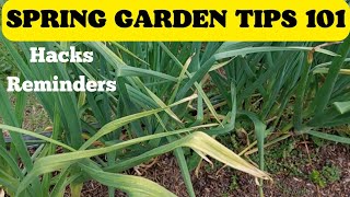 SPRING GARDEN 101| HACKS & REMINDERS | BEGINNER GARDENER TIPS | 1ACRE FOOD FOREST
