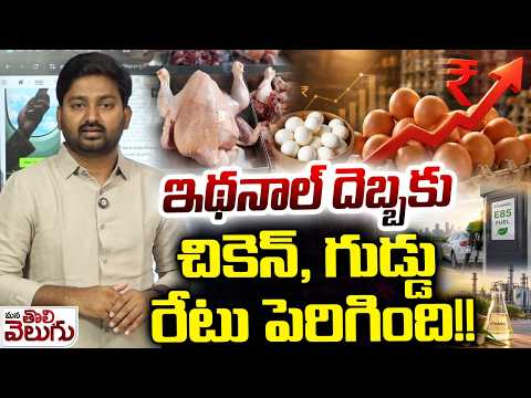ఇథనాల్ దెబ్బకు చికెన్ , గుడ్డు రేటు పెరిగింది!!| Ethanol Effect on Chicken and eggsManaTolivelugu