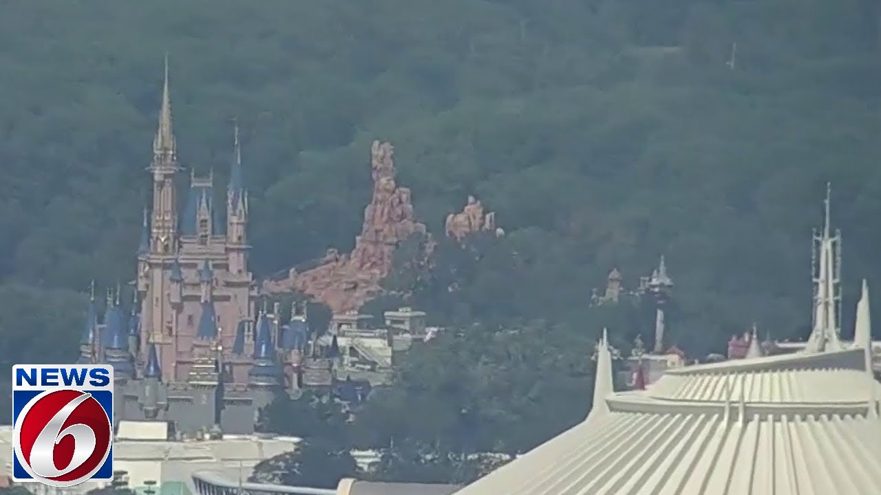 Disney: Black bear spotted at Magic Kingdom