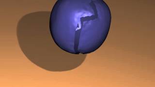 Efficient Animation of Point-Sampled Thin Shells (Eurographics 2005) [Balloon]