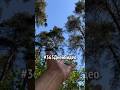 #365ДнейВидео День 55