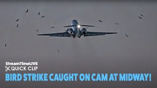StreamTime LIVE | Government Plane Strikes Flock of Birds After Midway Takeoff
