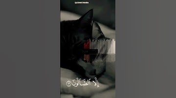 من سورة الحجر بصوت هزاع البلوشي 🎧🎧😍❤️😘🤲