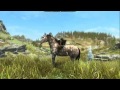 Skyrim SE - 4. rész - Panteon és boszorkányvadászat