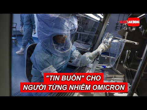 Video Nghiên cứu mới: 