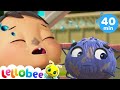 Itsy Bitsy Spider Song Song +More Nursery Rhymes for Kids | Lellobee