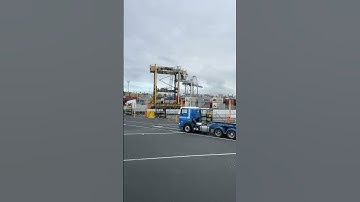 Port of Auckland tour