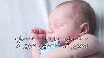 سوره مبارکه غافر به صدای ملکوتی الشیخ حجاج همایون نوری.