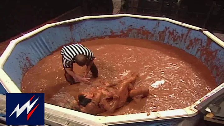WWF Tori vs Miss Kitty Pudding Pool Match   RAW 19...