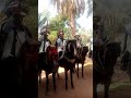 عايدي مختار بودراع فرسان الشعانبة 