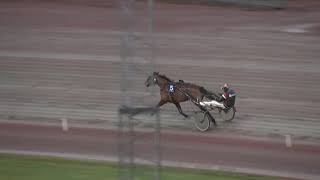 Vidéo de la course PMU PRIX STOLOPP