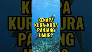 Kenapa Kura-Kura Panjang Umur? #faktaunik #hewan