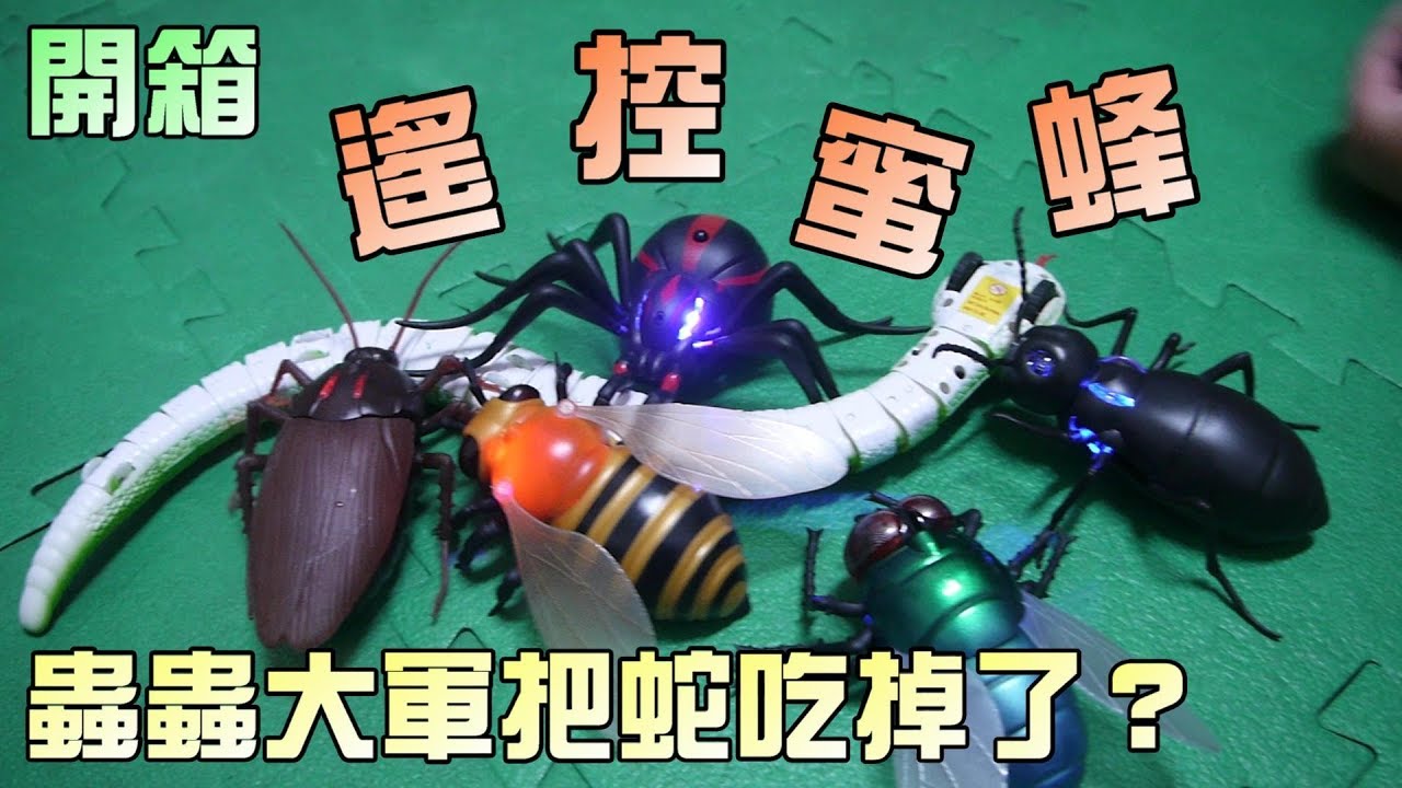 遙控玩具小蜜蜂開箱！蟲蟲們團結起來對抗大蛇！大嘴嘴