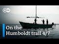 The Humboldt Current — Part 4 | DW Documentary