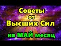 Советы от Высших Сил на МАЙ месяц 2021 года.