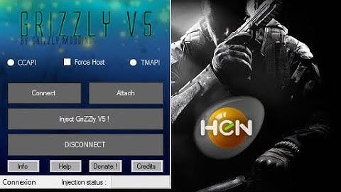 (PS3/HEN) How to Use BO2 Mod Menu Injector - GriZZly V5 | Offline Use Only (Educational)