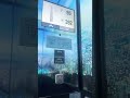 당신이 가고 있는 그 길은??#꽉잡아 #40대여자 의 하루 #롯데타워
