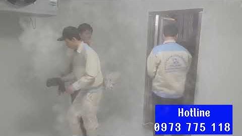 Có những loại kho lạnh công nghiệp nào? Giải pháp Lạnh hiệu quả