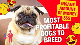 DOG BREEDING BUSINESS - Most Profitable Dogs To Breed